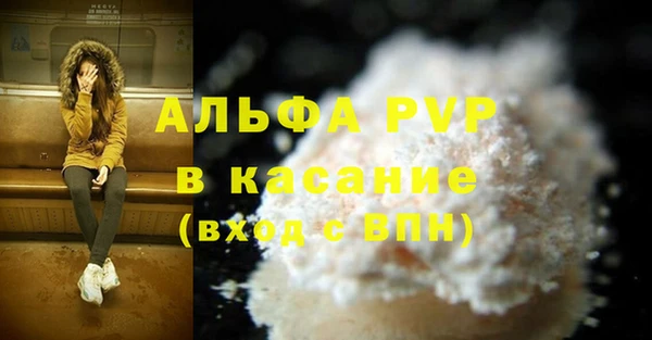 прущие крисы Верея
