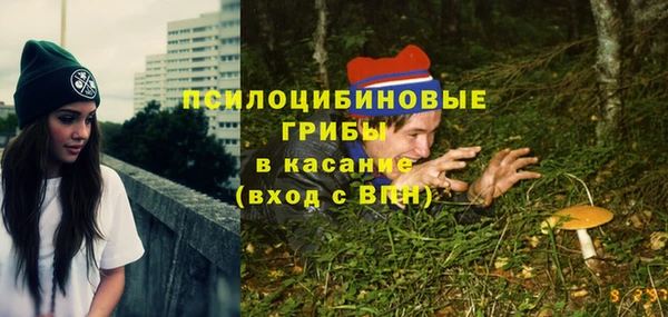 прущие крисы Верея