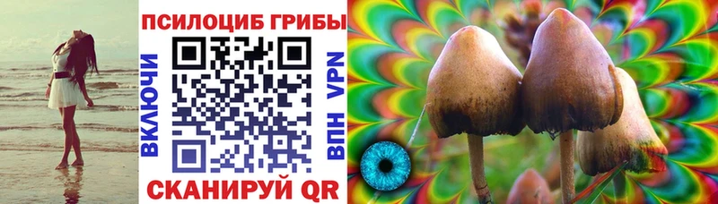 Псилоцибиновые грибы GOLDEN TEACHER  Северобайкальск 